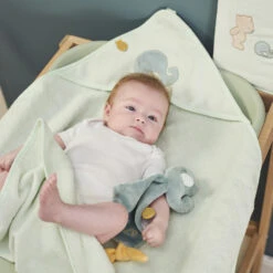 NATTOU Mini Doudou Plat Sally La Baleine -Nattou jo083450091 2